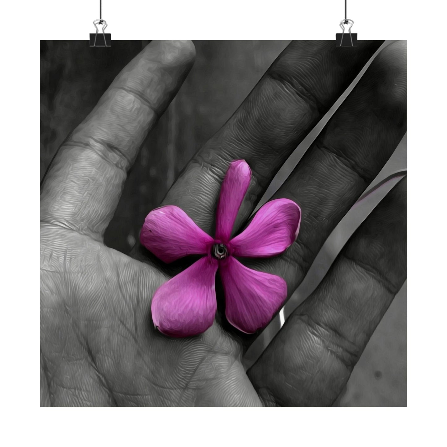 Purple flower held between two hands, with a black and white background