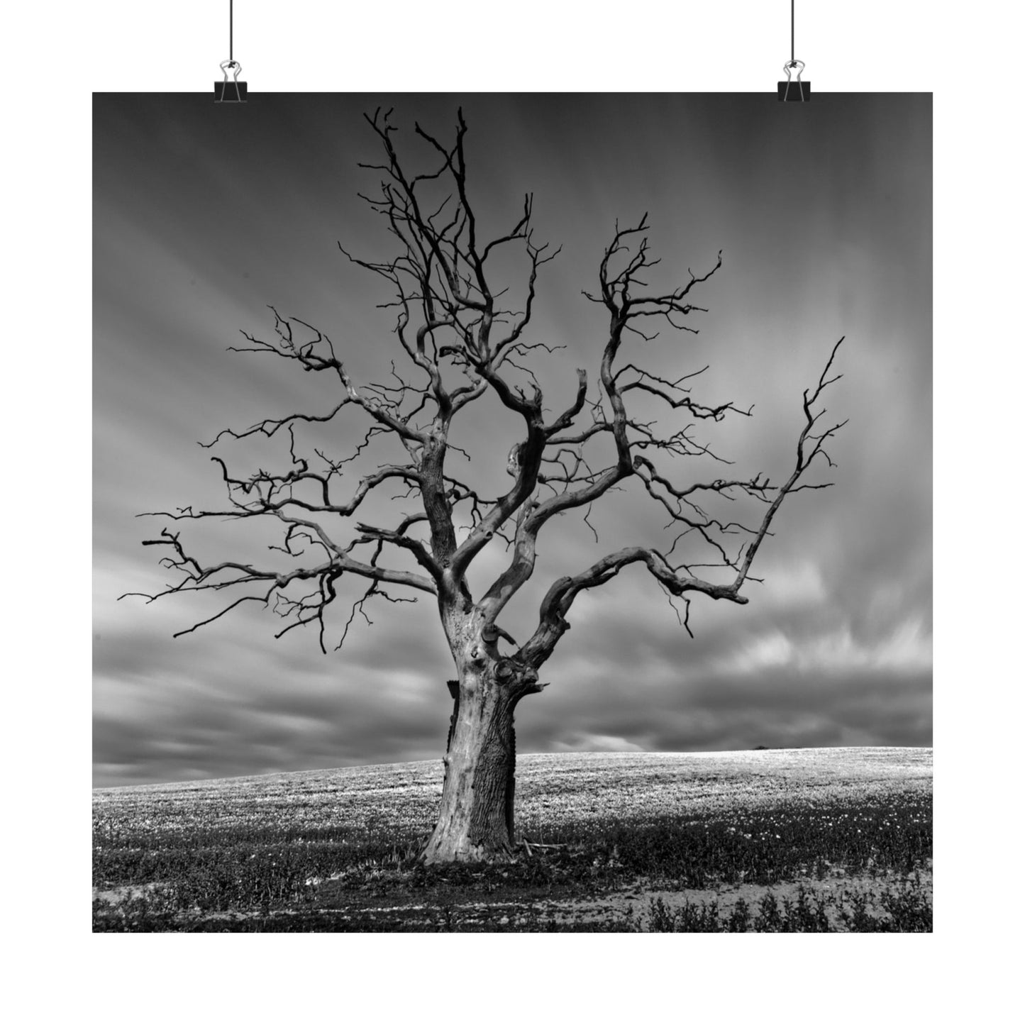 Black and white photo of a bare tree against a cloudy sky