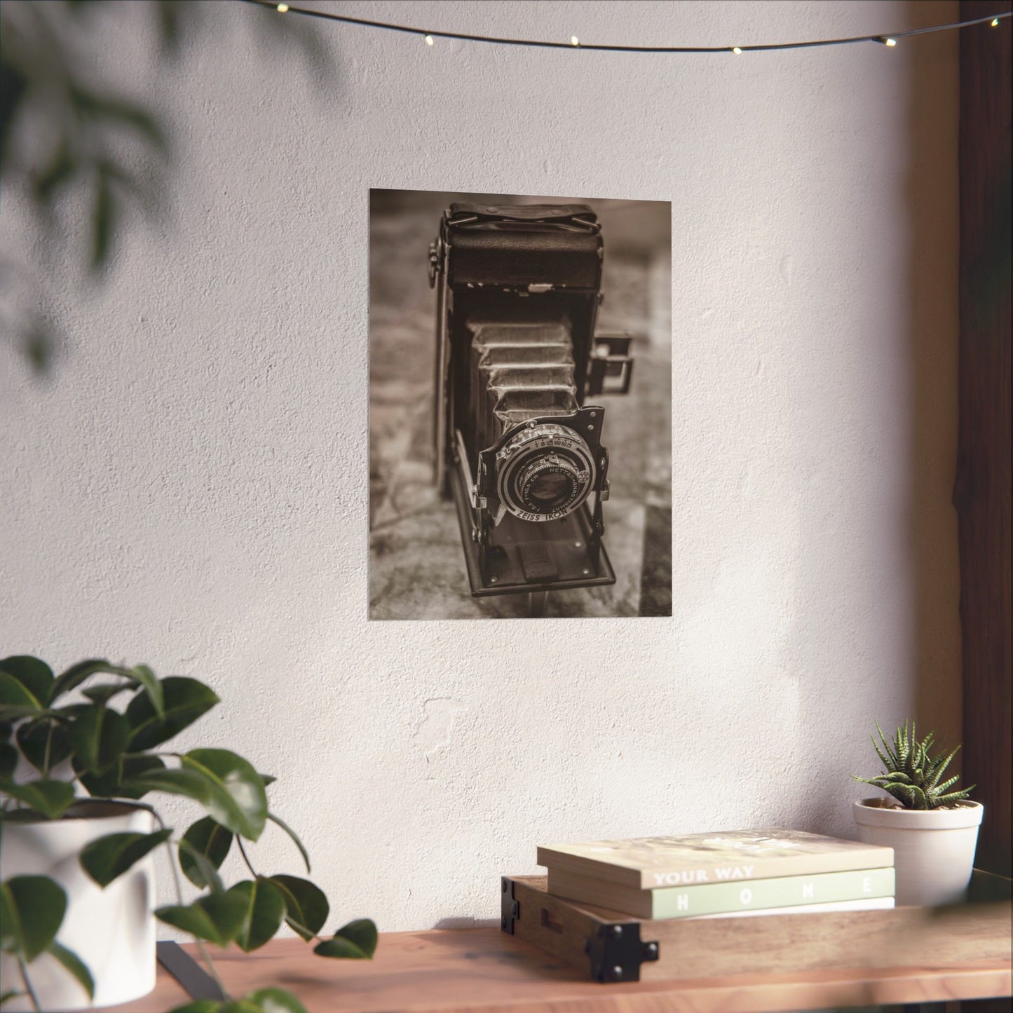 Vintage camera poster on a wall with a wooden desk and plants below