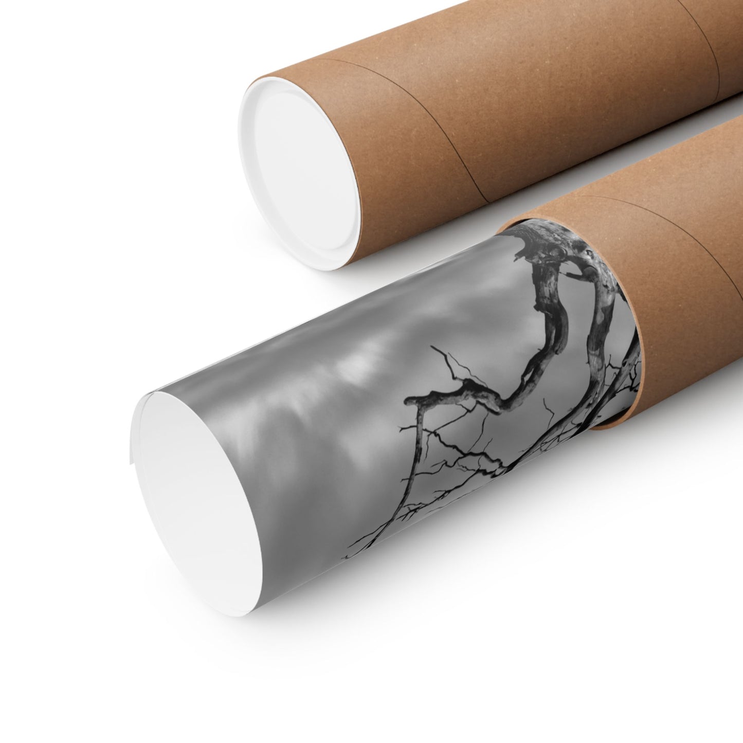Two cardboard tubes, one with a white cap and the other with a gray cap featuring black tree branch design.