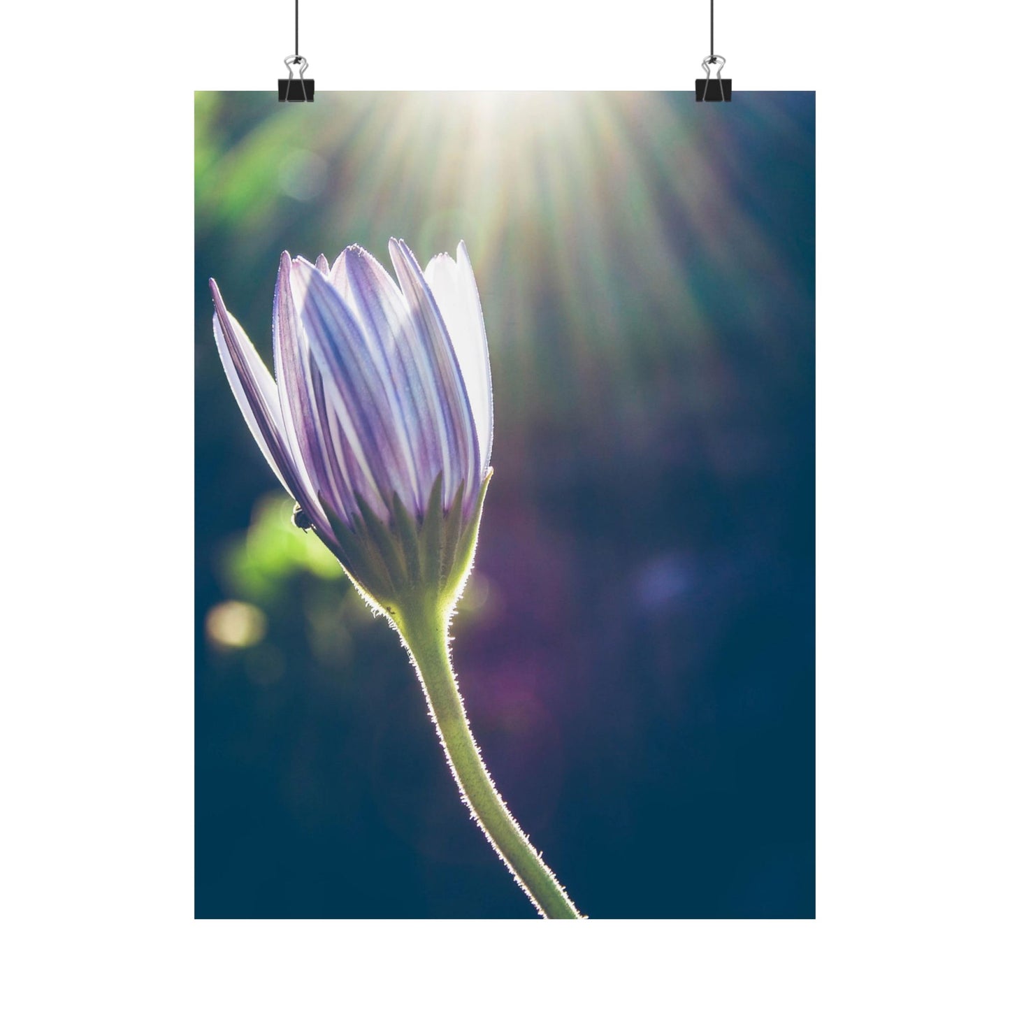 Floral Botanical Art Print - Nature Wall Decor for Plant Lovers