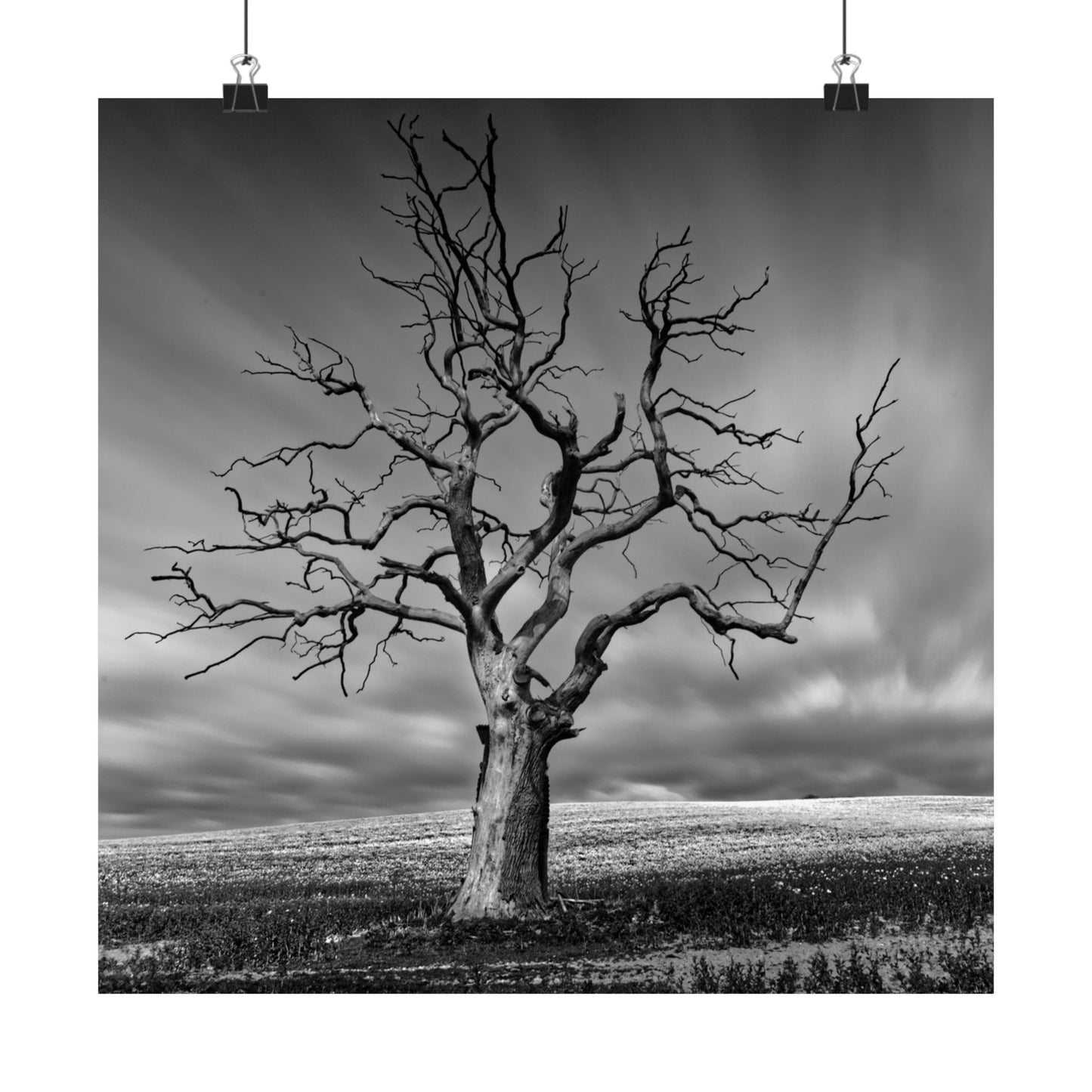 Black and white photo of a bare tree against a cloudy sky
