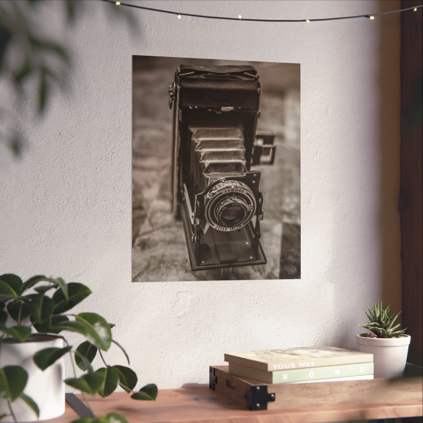 Vintage camera print on a wall with a wooden desk and plants below