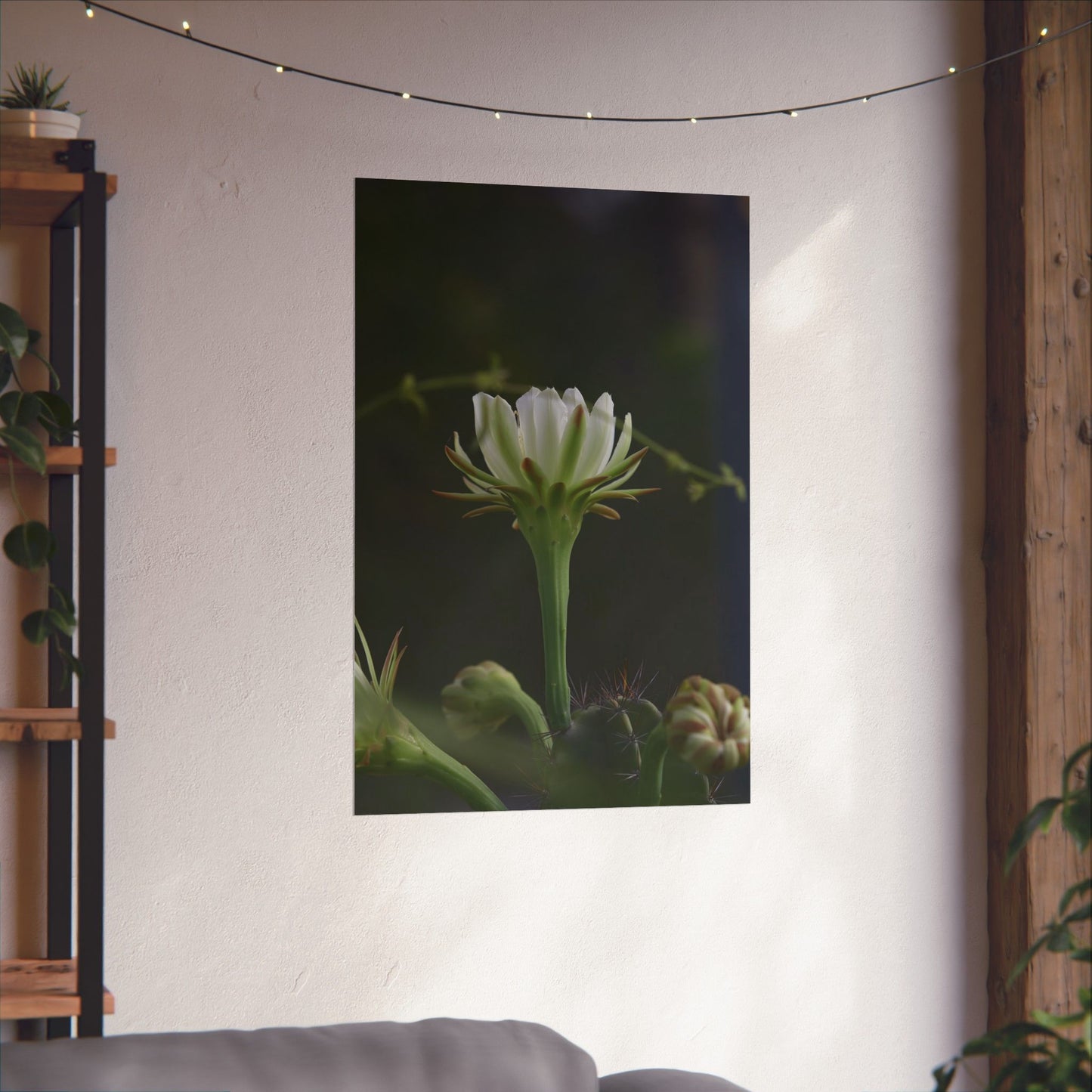 Botanical Cactus Wall Art - Minimalist Matte Poster