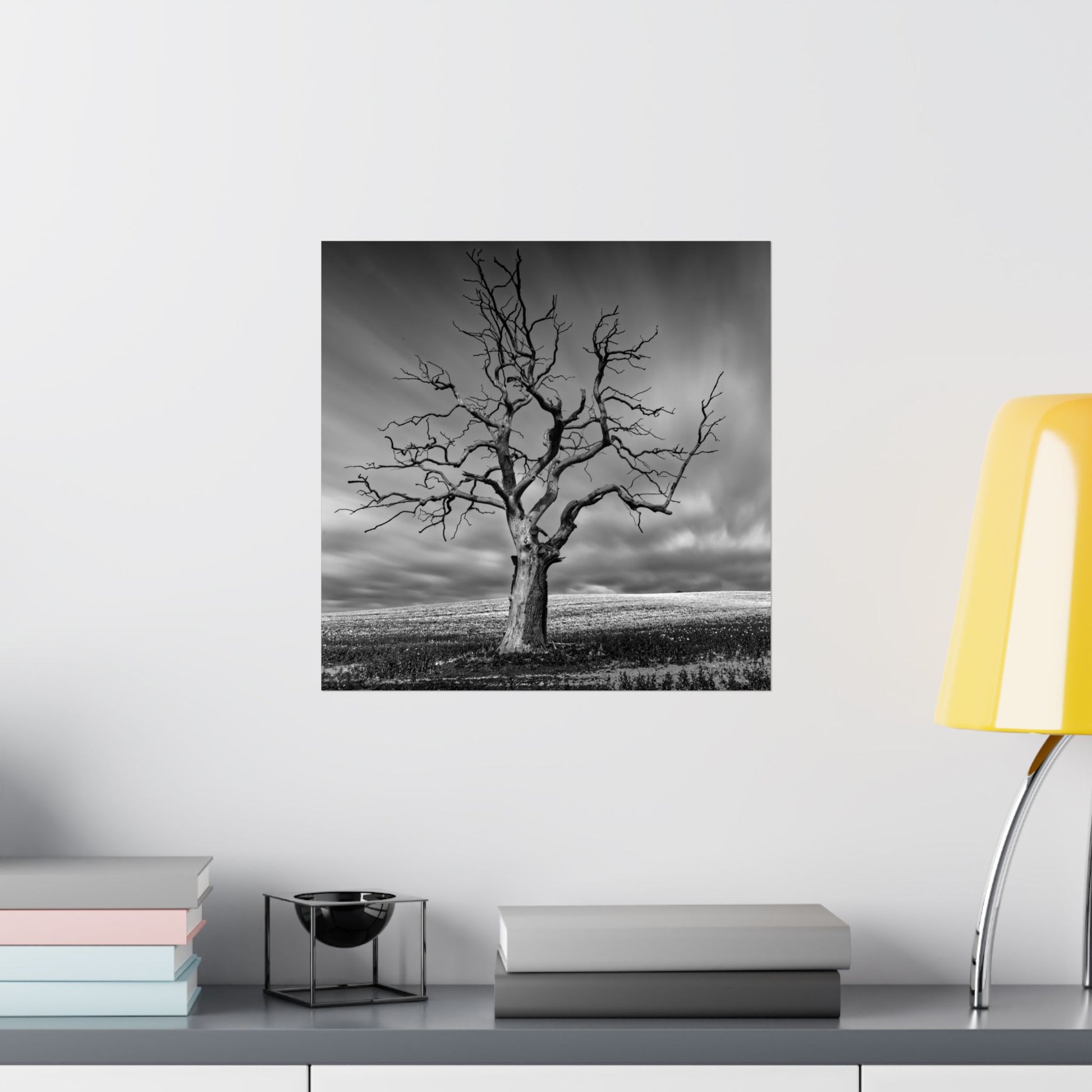 Framed black and white tree artwork on a wall above a shelf with books and a lamp.