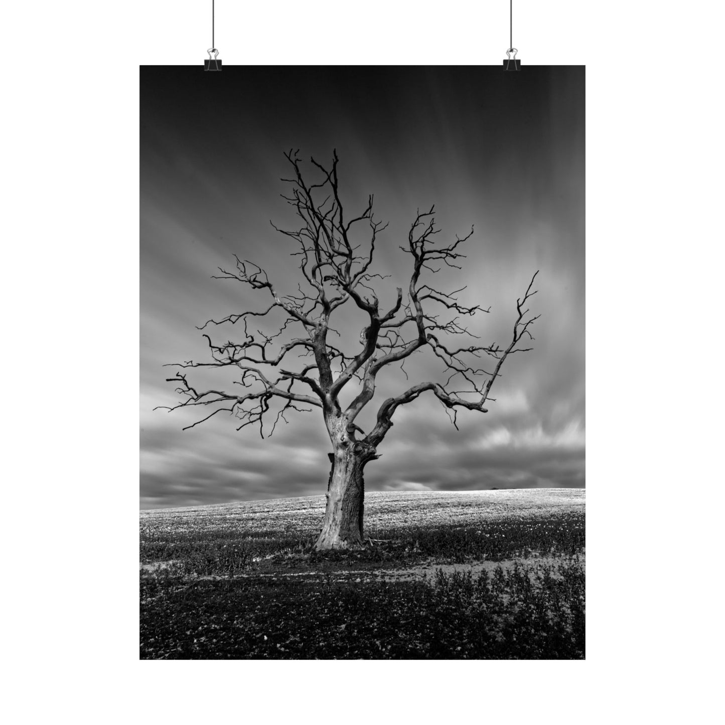 Black and white poster of a bare tree against a cloudy sky