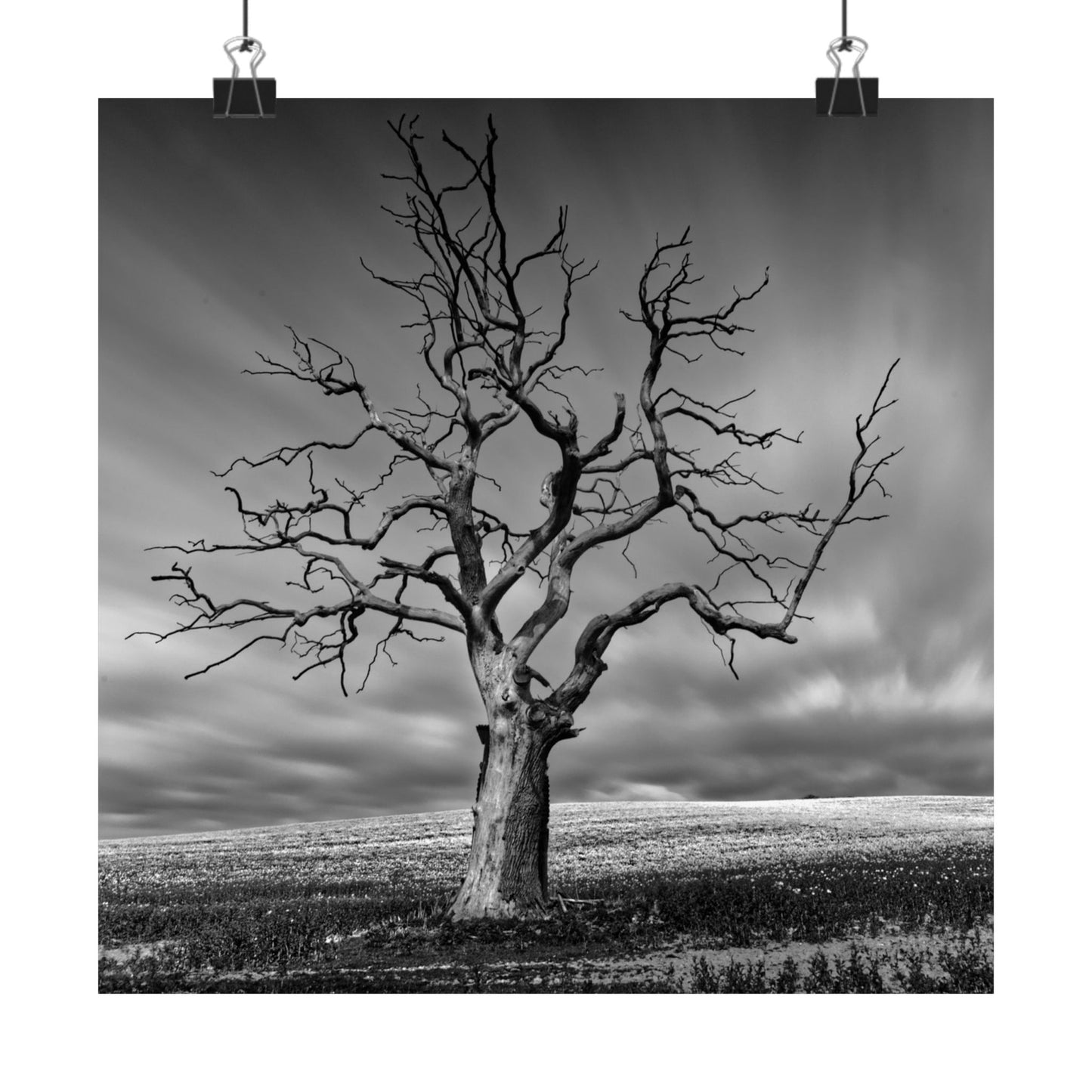 Black and white photo of a bare tree against a cloudy sky