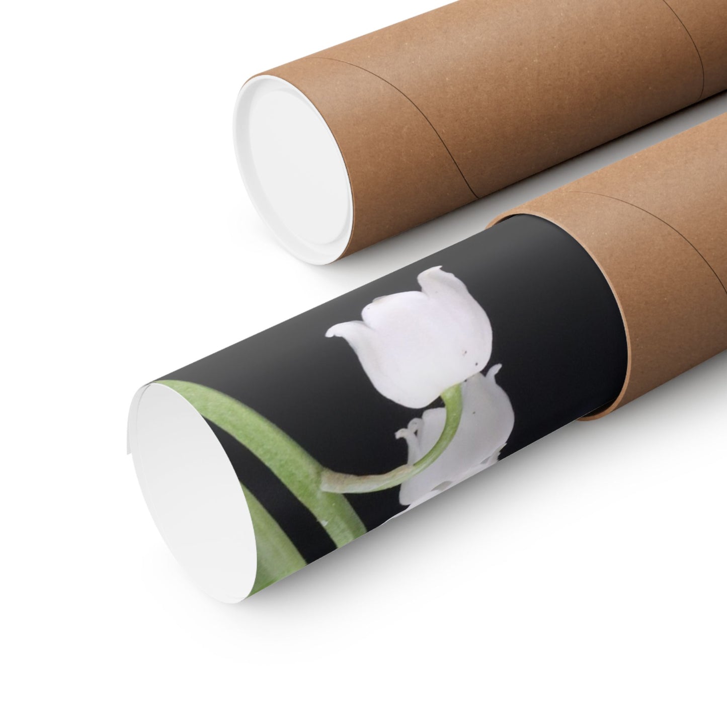 Two cardboard tubes with floral design on a white background