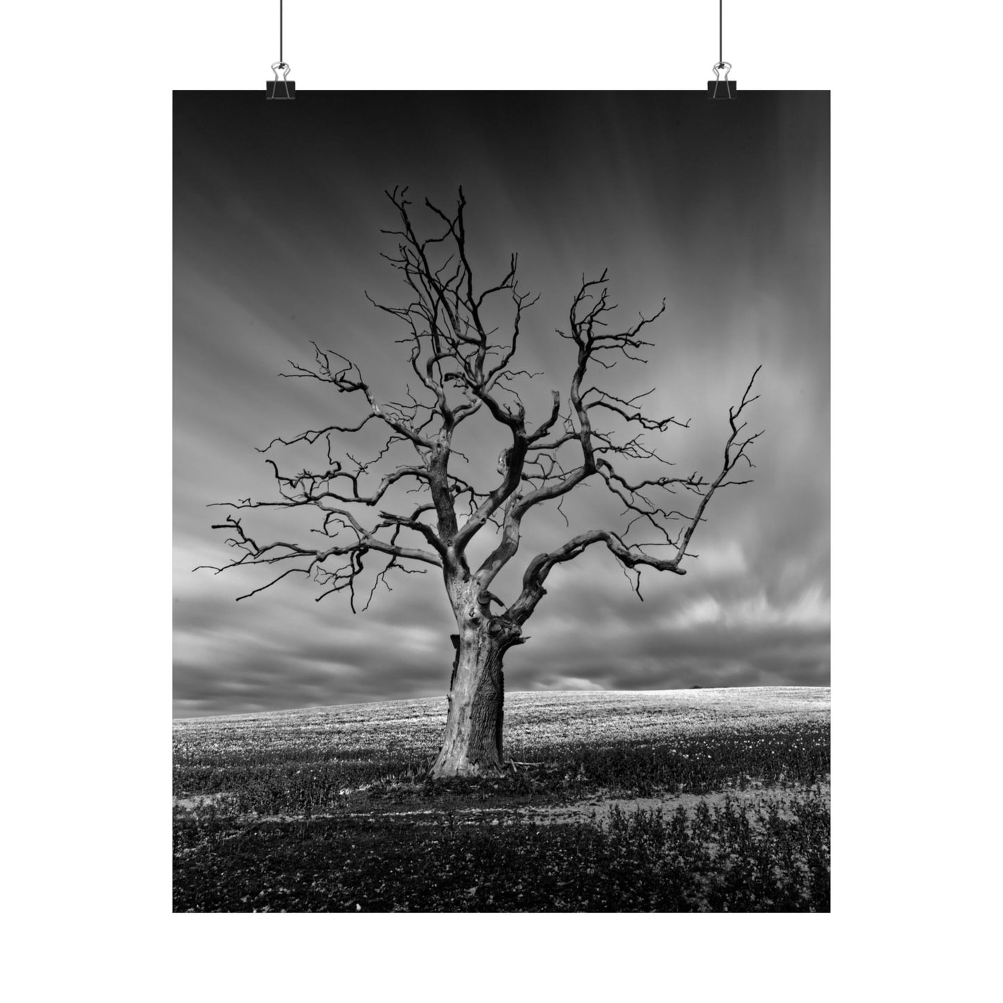 Black and white photograph of a lone tree against a dramatic sky