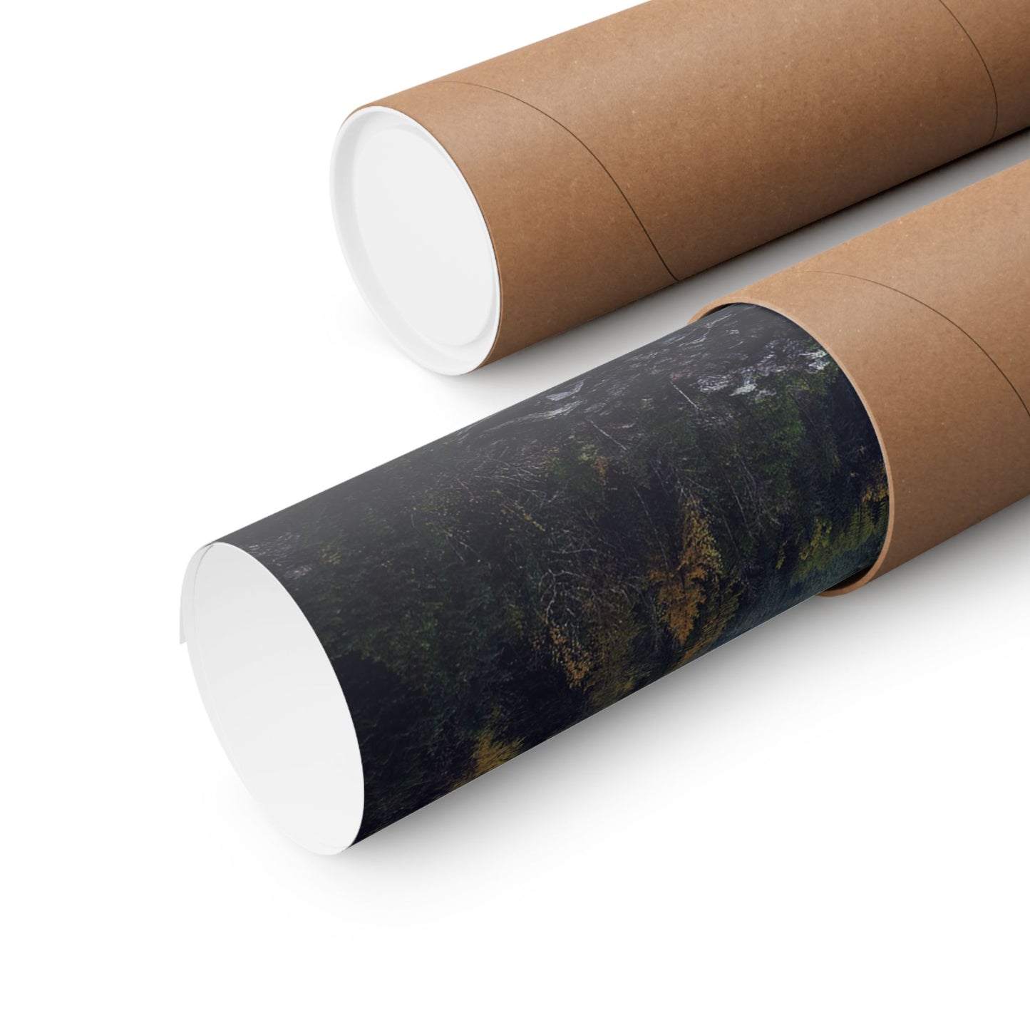 Roll of wallpaper with a natural design on a cardboard tube against a white background