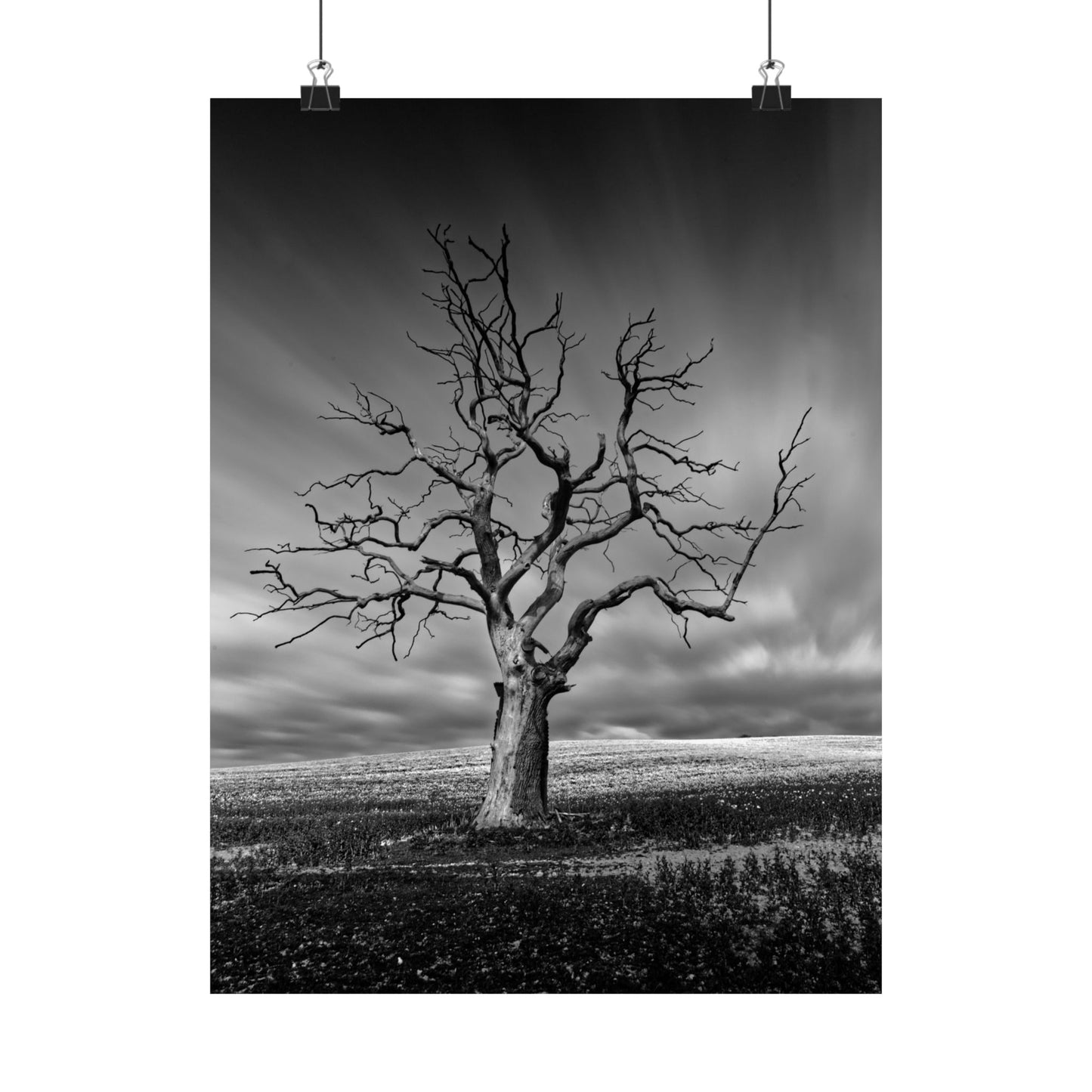 Black and white poster of a bare tree against a cloudy sky
