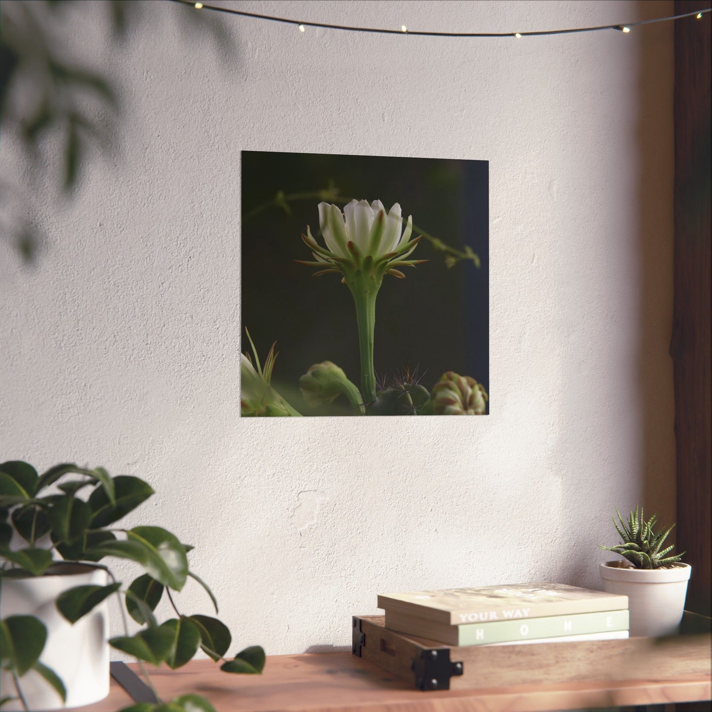 Botanical Cactus Wall Art - Minimalist Matte Poster