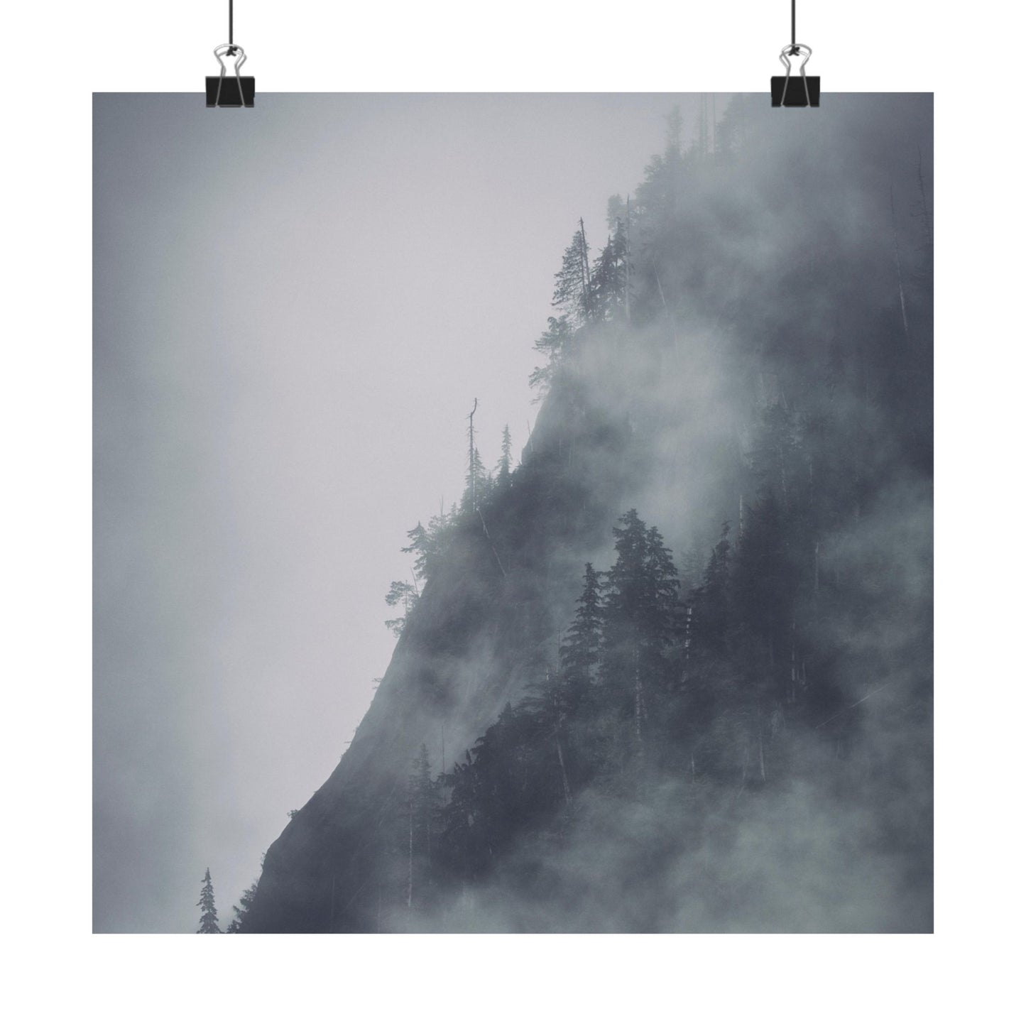 Foggy mountain with trees on a cloudy day