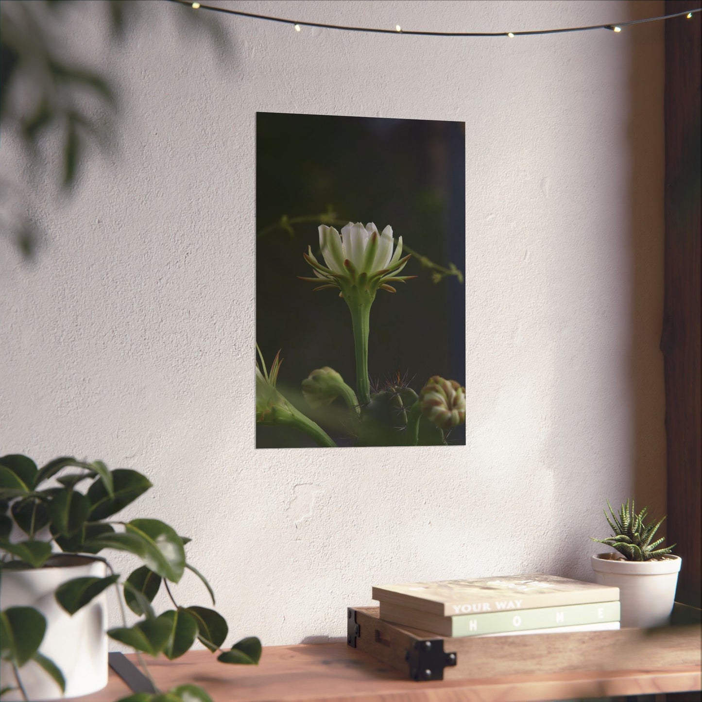 Botanical Cactus Wall Art - Minimalist Matte Poster