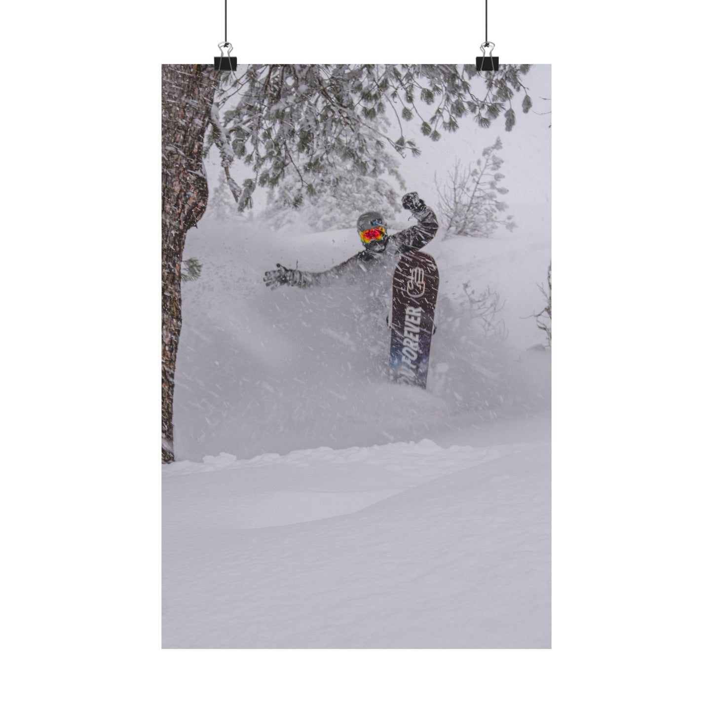 Person snowboarding in a snowy forest with a snowboard featuring the Arbor logo.