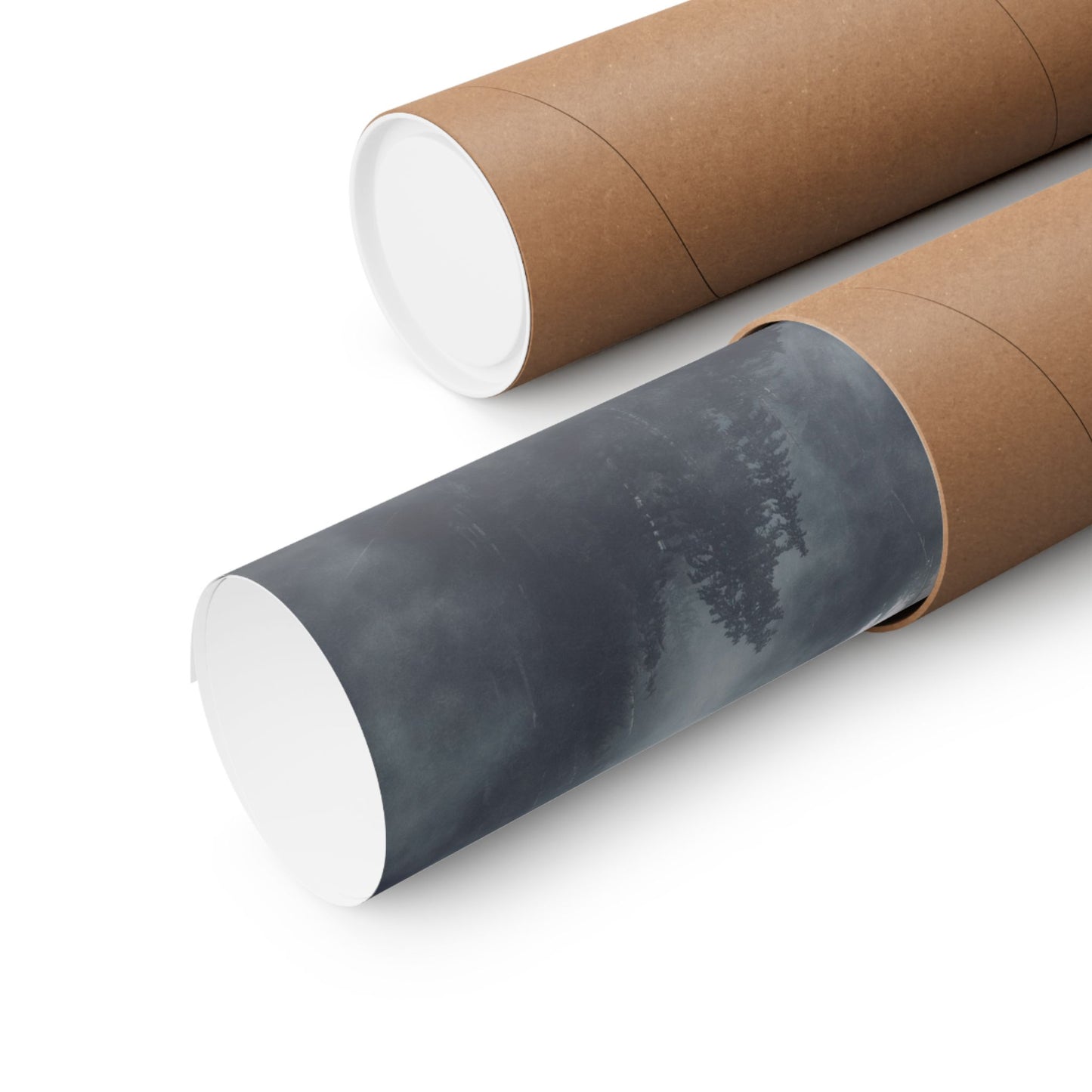 Two cardboard rolls with one containing a black and white landscape print on a white background