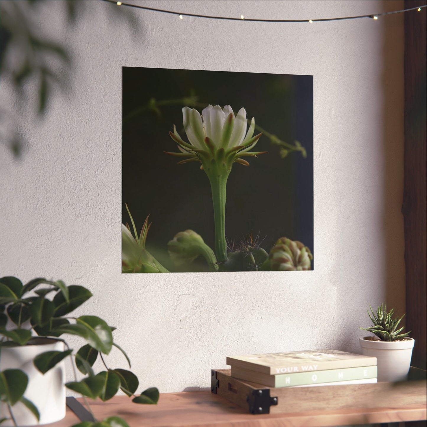 Botanical Cactus Wall Art - Minimalist Matte Poster