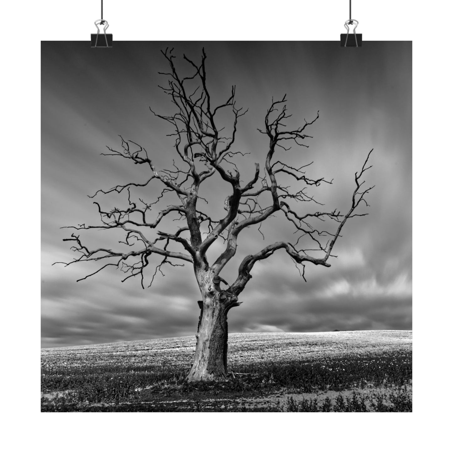 Black and white photo of a bare tree against a cloudy sky