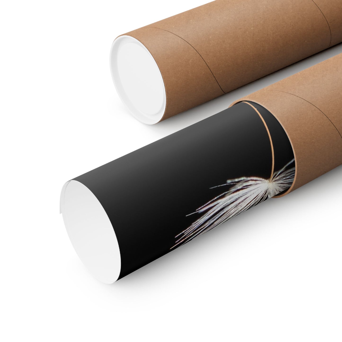 Two cylindrical cardboard tubes, one black with a feather and the other brown, on a white background.