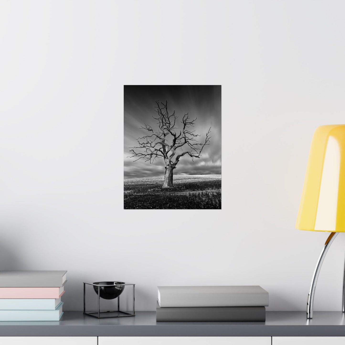 Black and white photo of a lone tree on a wall above a shelf with books and a lamp.
