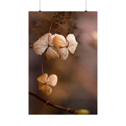 Close-up of dried flowers on a branch with a blurred background