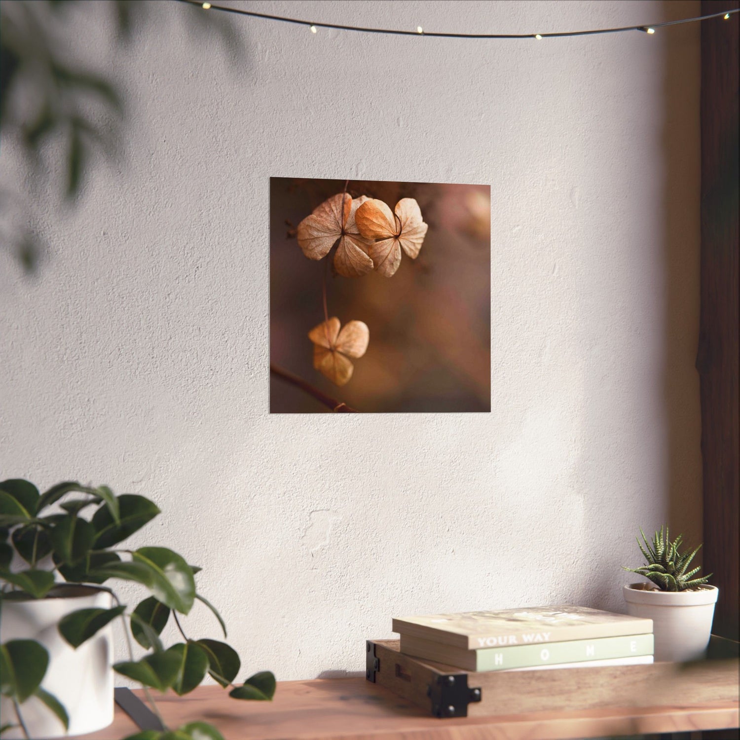 Wall art of two walnuts on a white wall with plants and books in the foreground.