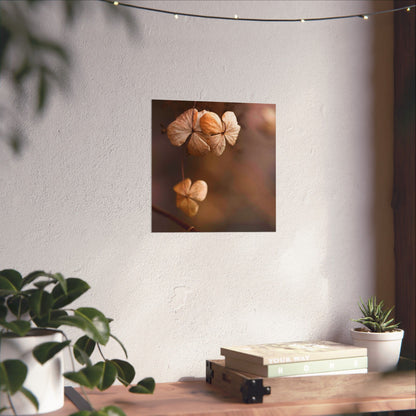Wall art of two walnuts on a white wall with plants and books in the foreground.