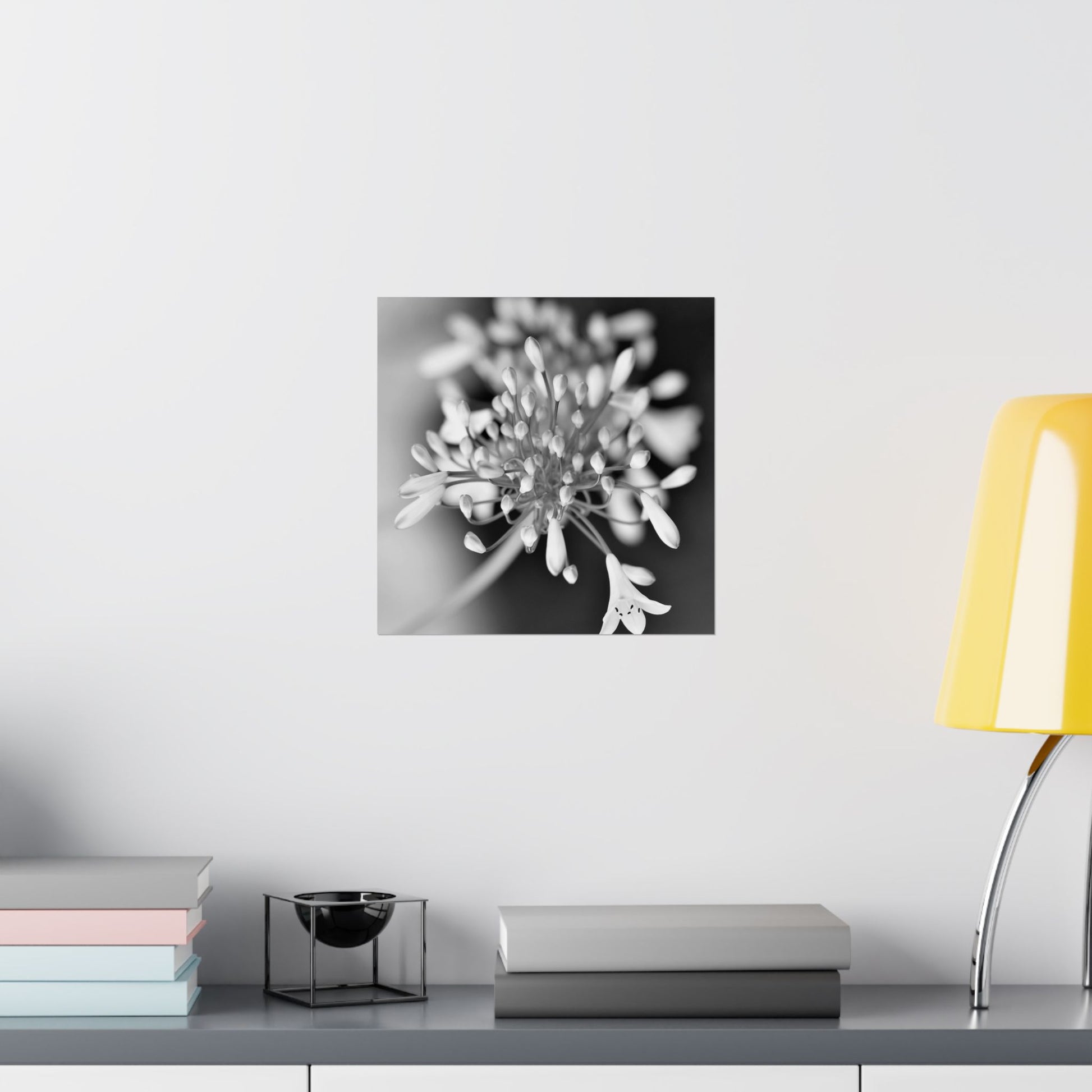 Black and white floral artwork on a wall above a shelf with books and a lamp.