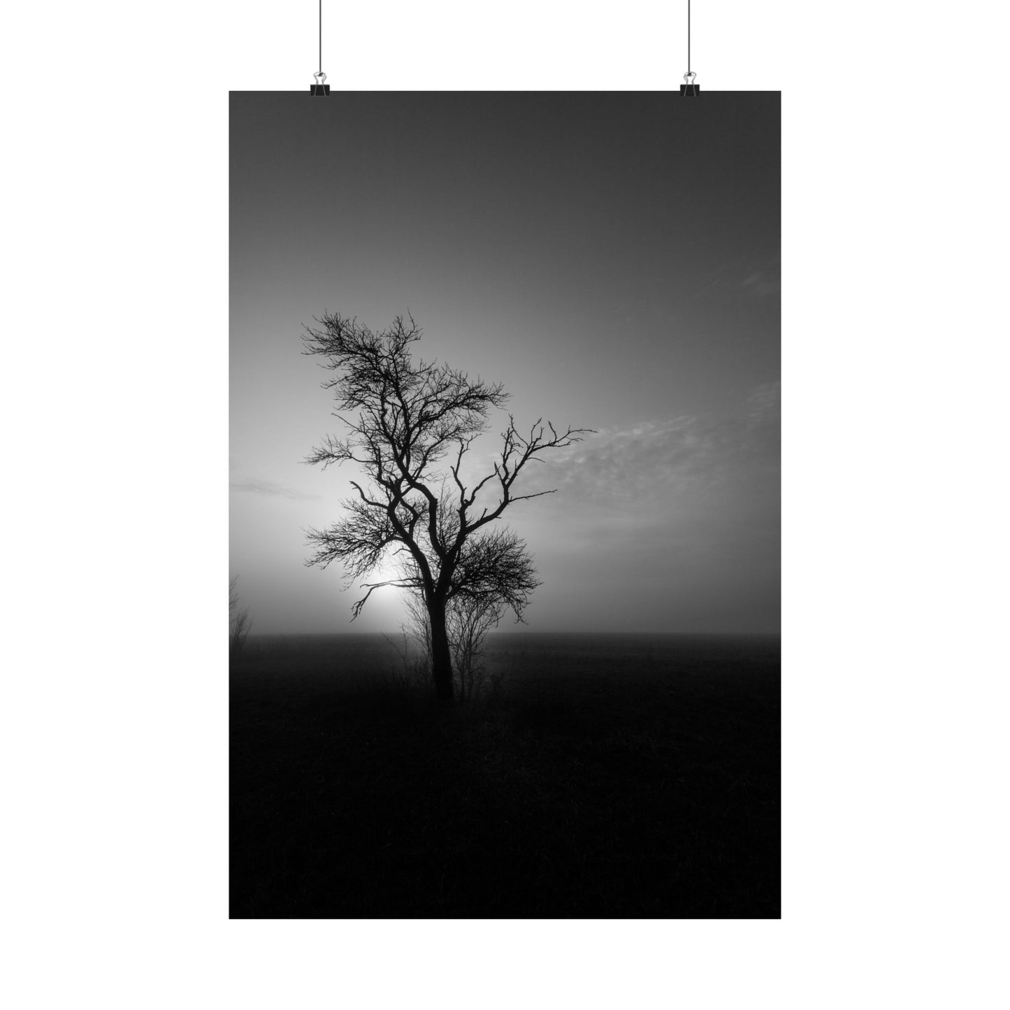 Black and white silhouette of a tree against a dark sky