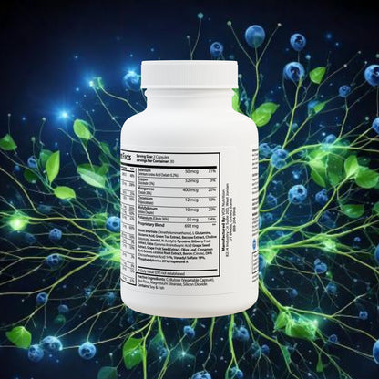 Brain Support Complex Supplement (60 Capsules)