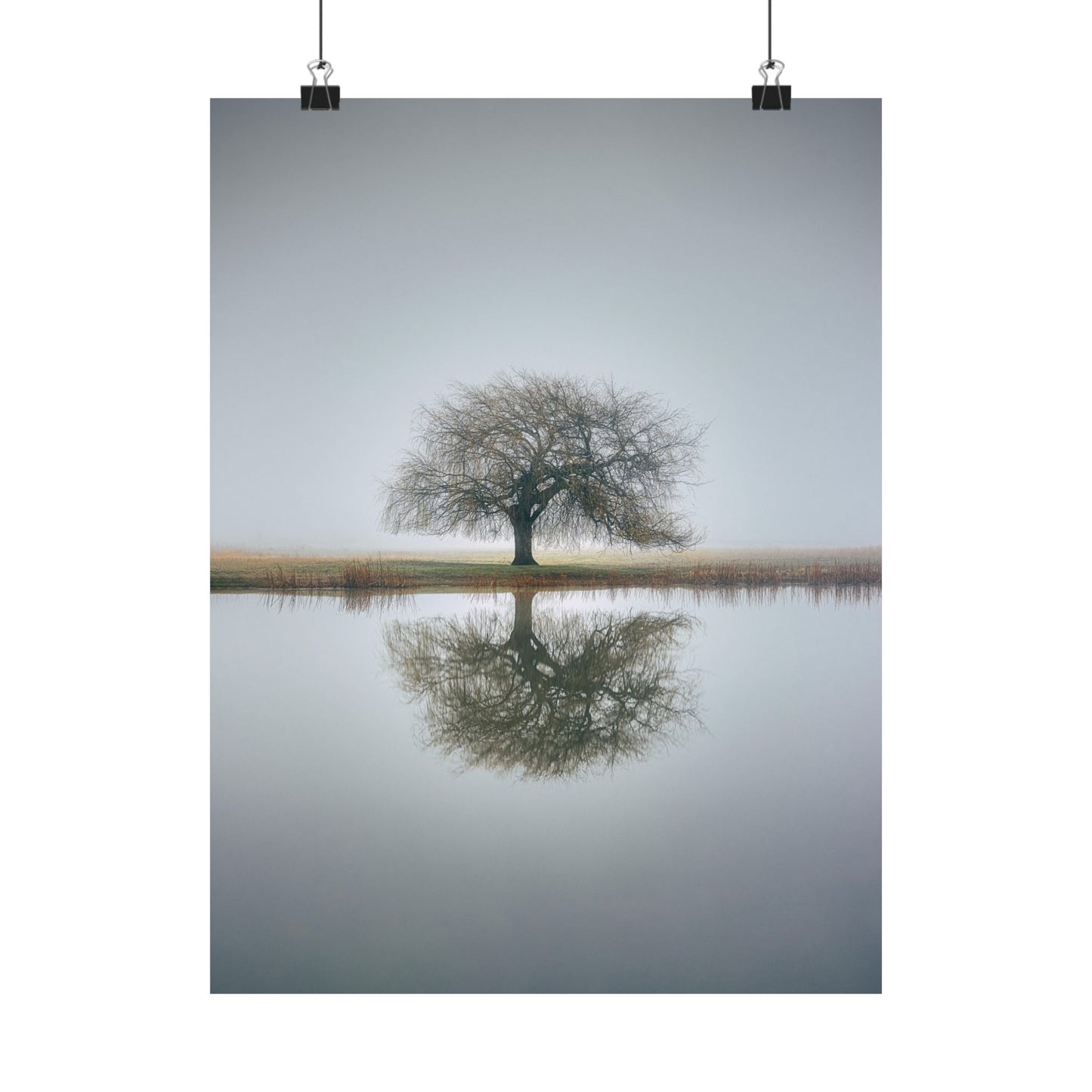 Tree reflected in water with a plain background
