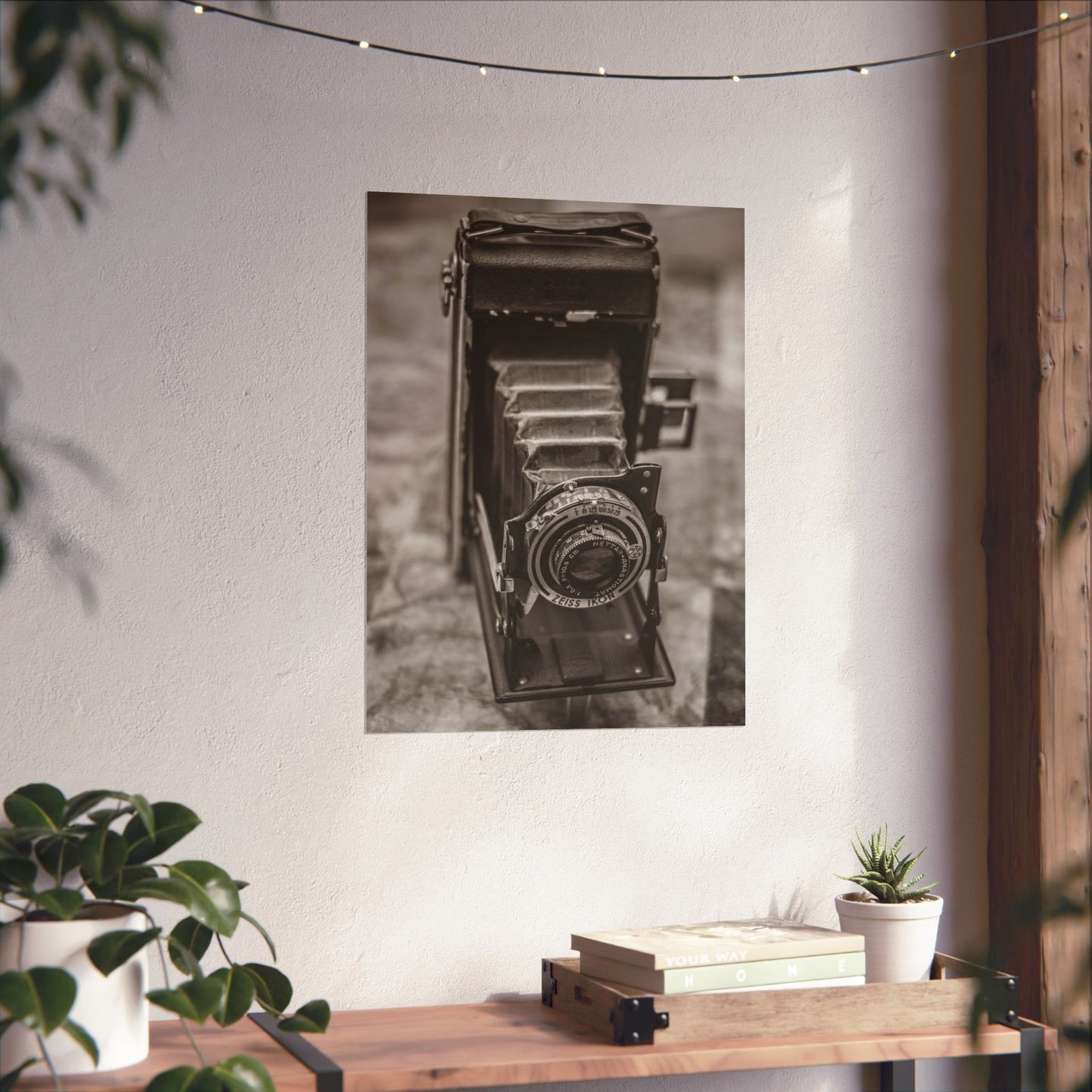 Vintage camera poster on a wall with a wooden shelf and plants below