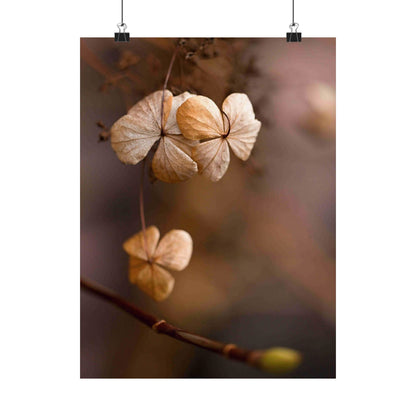 Dried flowers on a branch with a blurred background