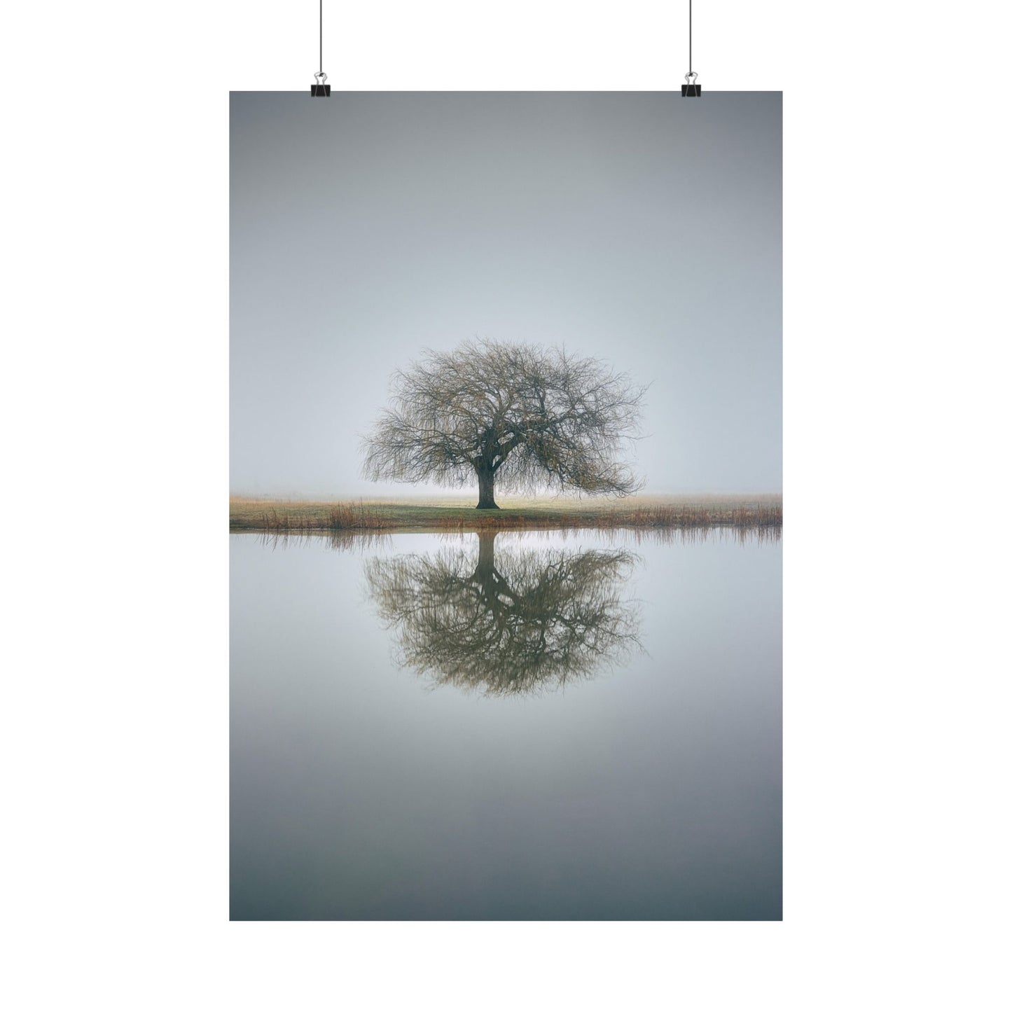Tree reflected in water with a foggy background