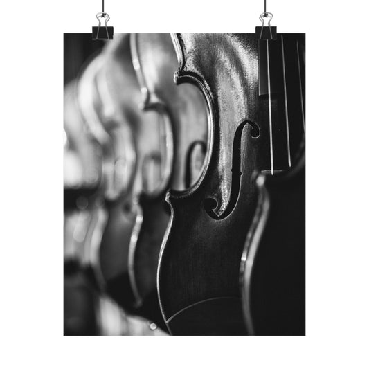 Close-up of a violin's f-holes in black and white