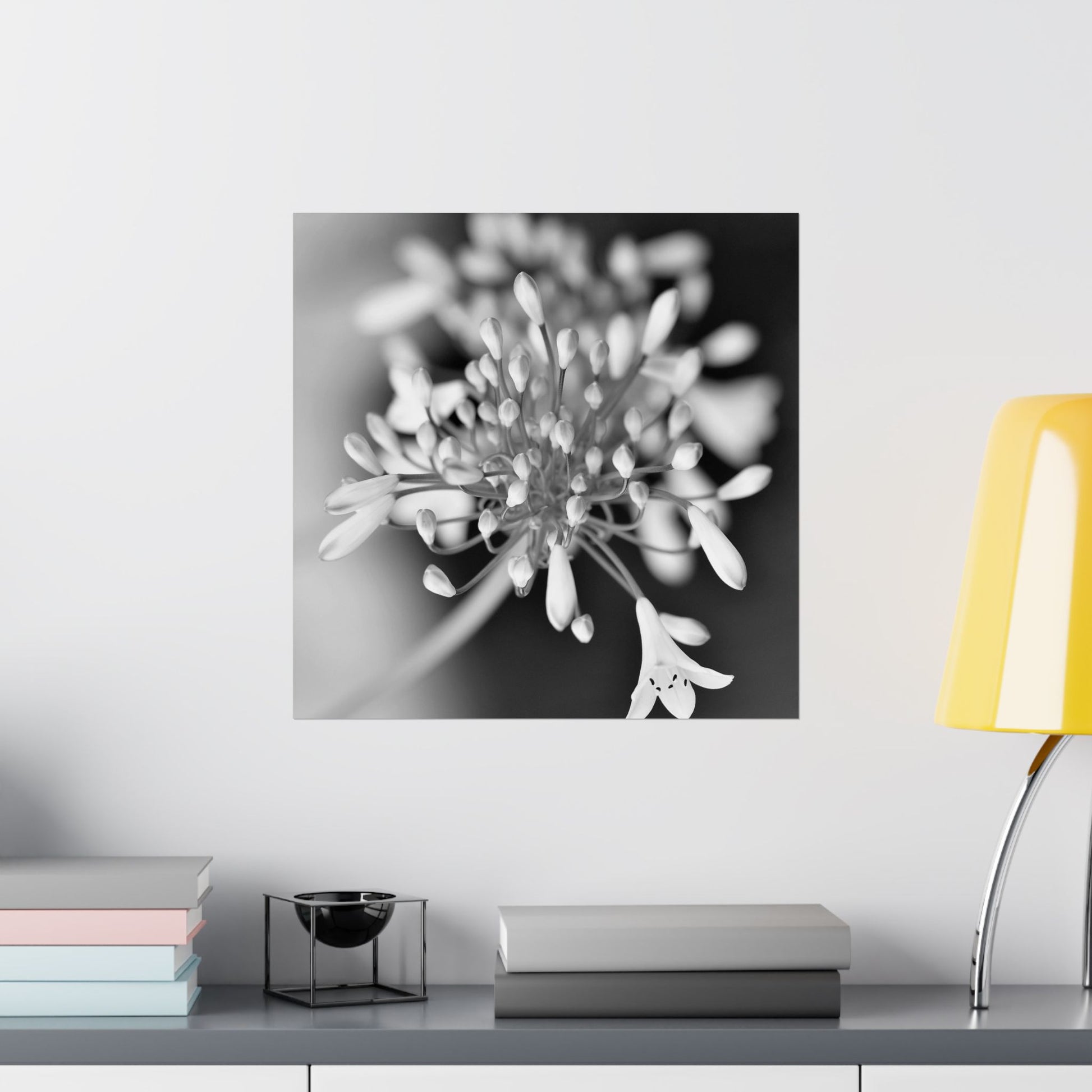 Black and white floral artwork on a wall above a shelf with books and a lamp.
