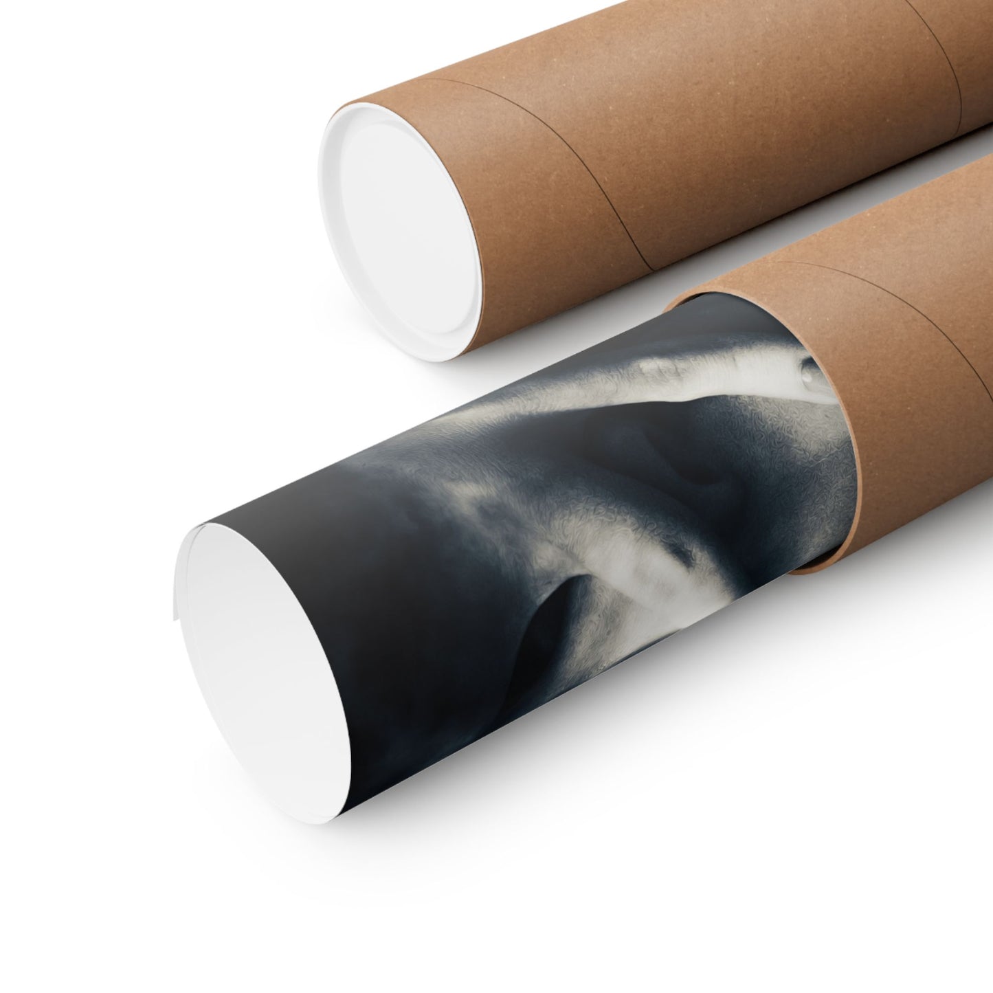 Roll of black and white photo paper in a cardboard tube on a white background