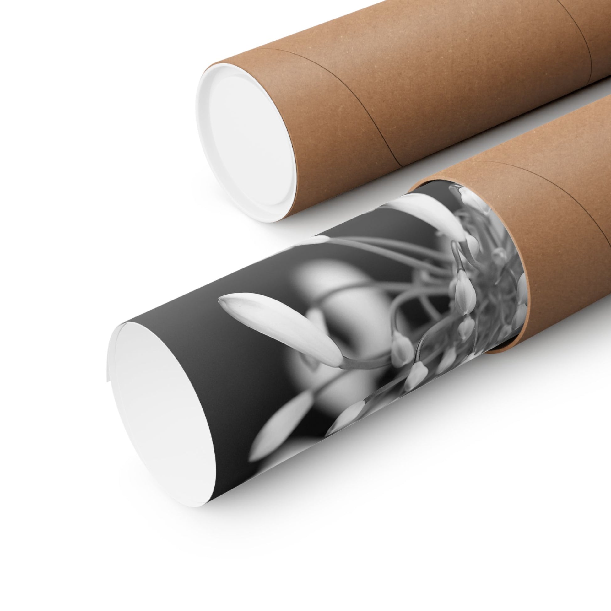 Cardboard tubes with a floral design on a white background