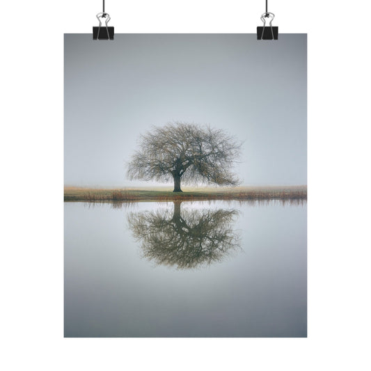 Tree reflected in water with a foggy background