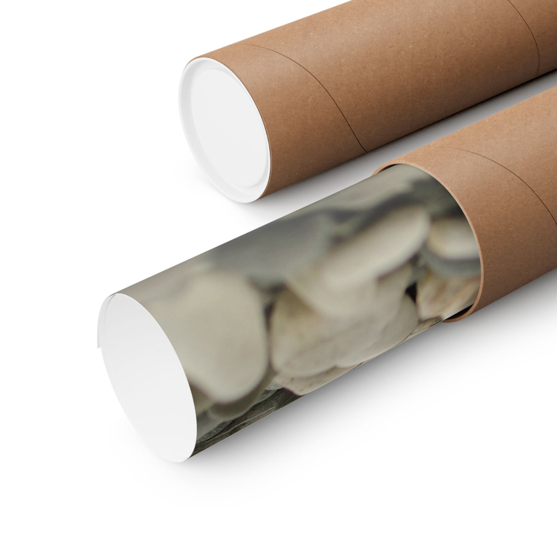 Two cardboard tubes with a clear wrap showing a blurred image of a person.