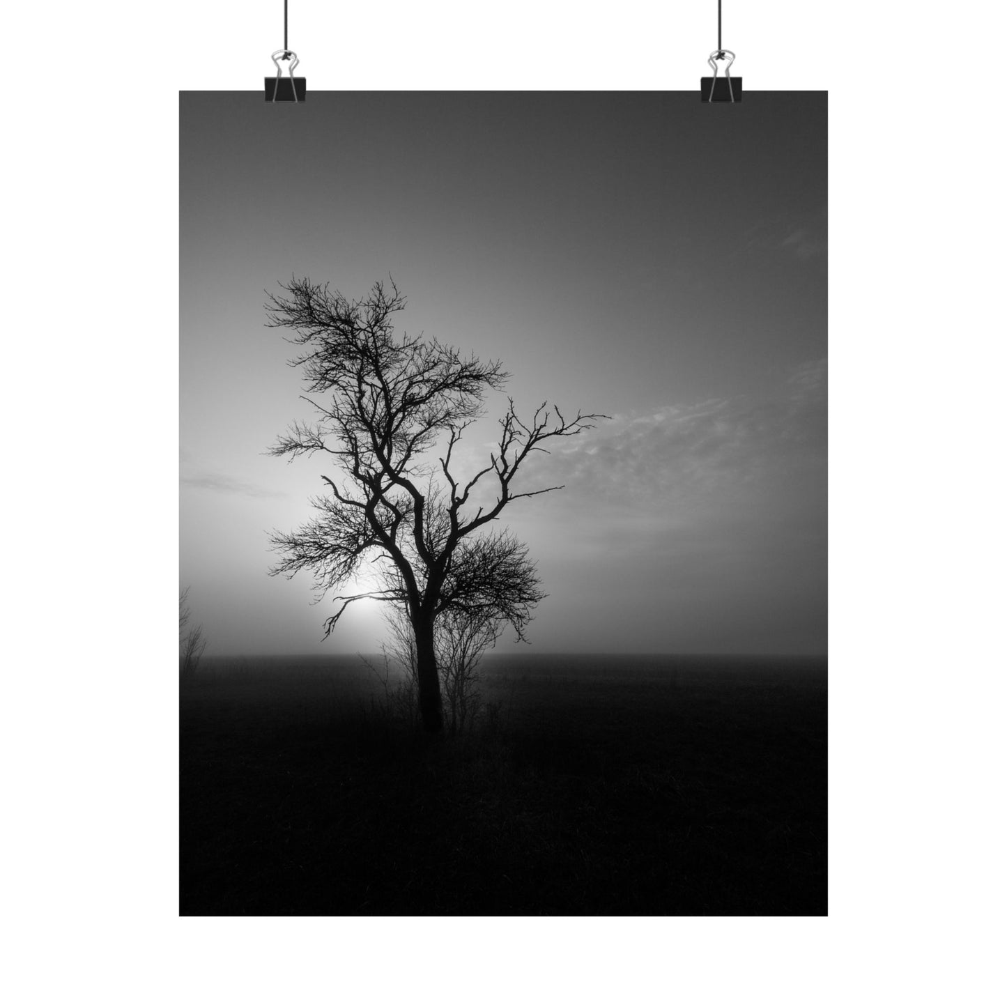 Black and white silhouette of a tree against a dark sky