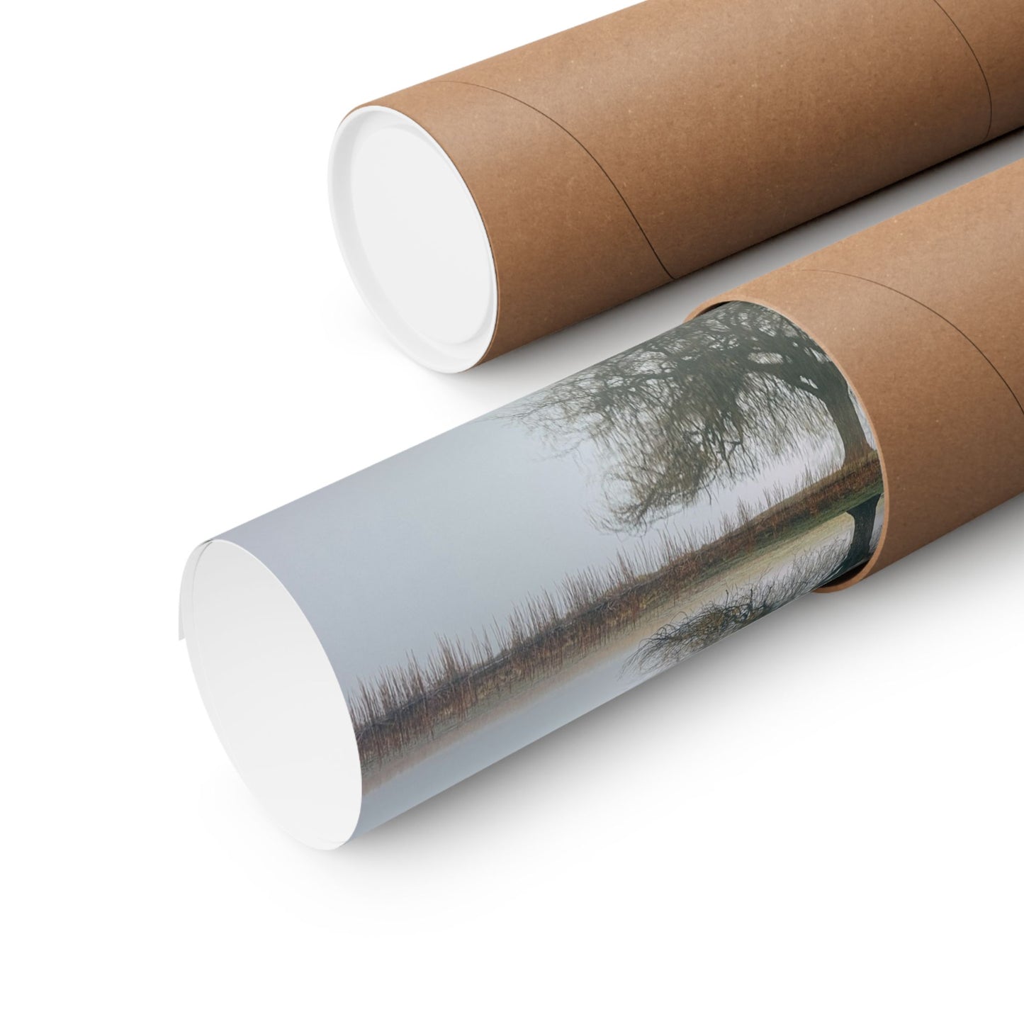 Roll of wallpaper with a scenic design on a white background