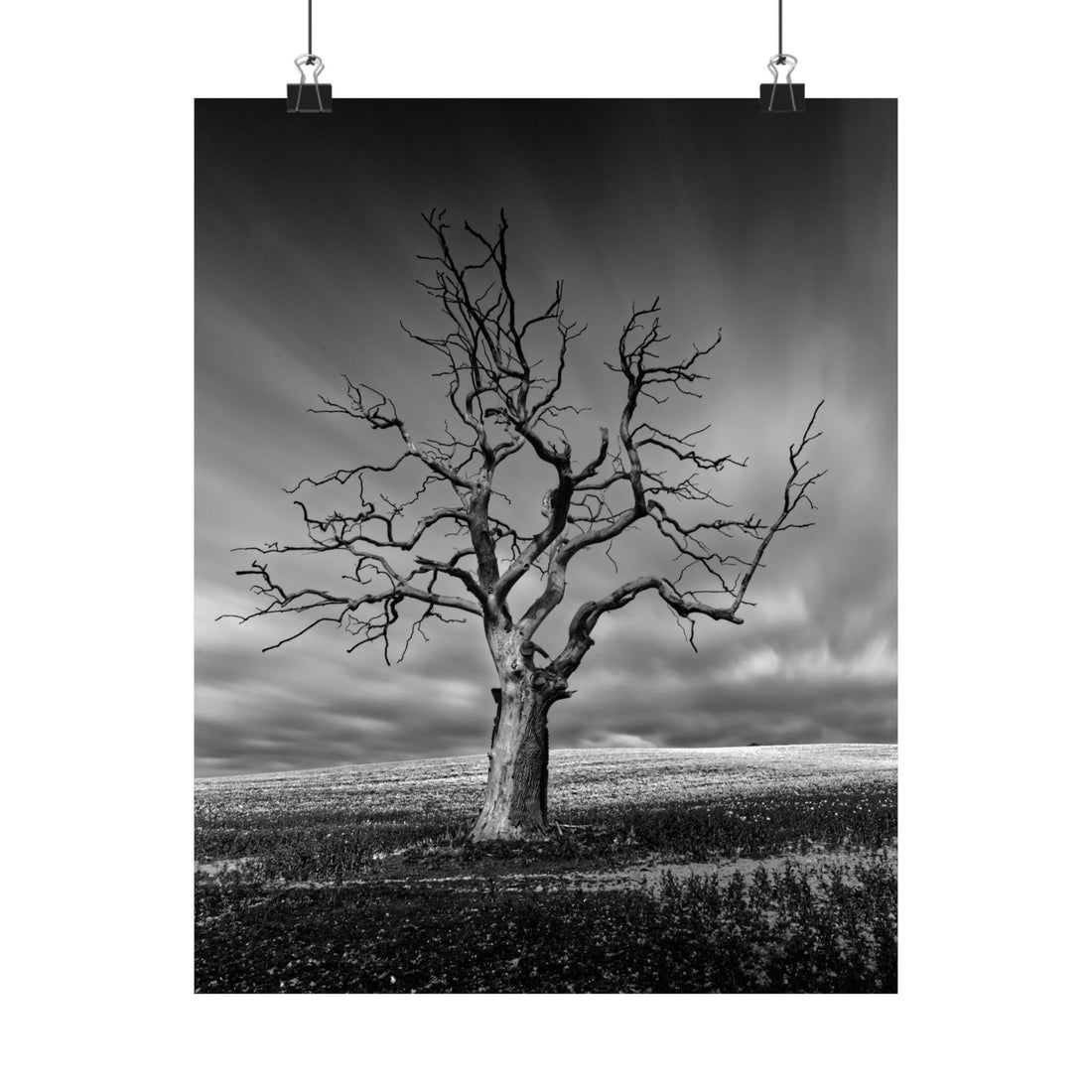 Black and white photograph of a lone tree against a dramatic sky.