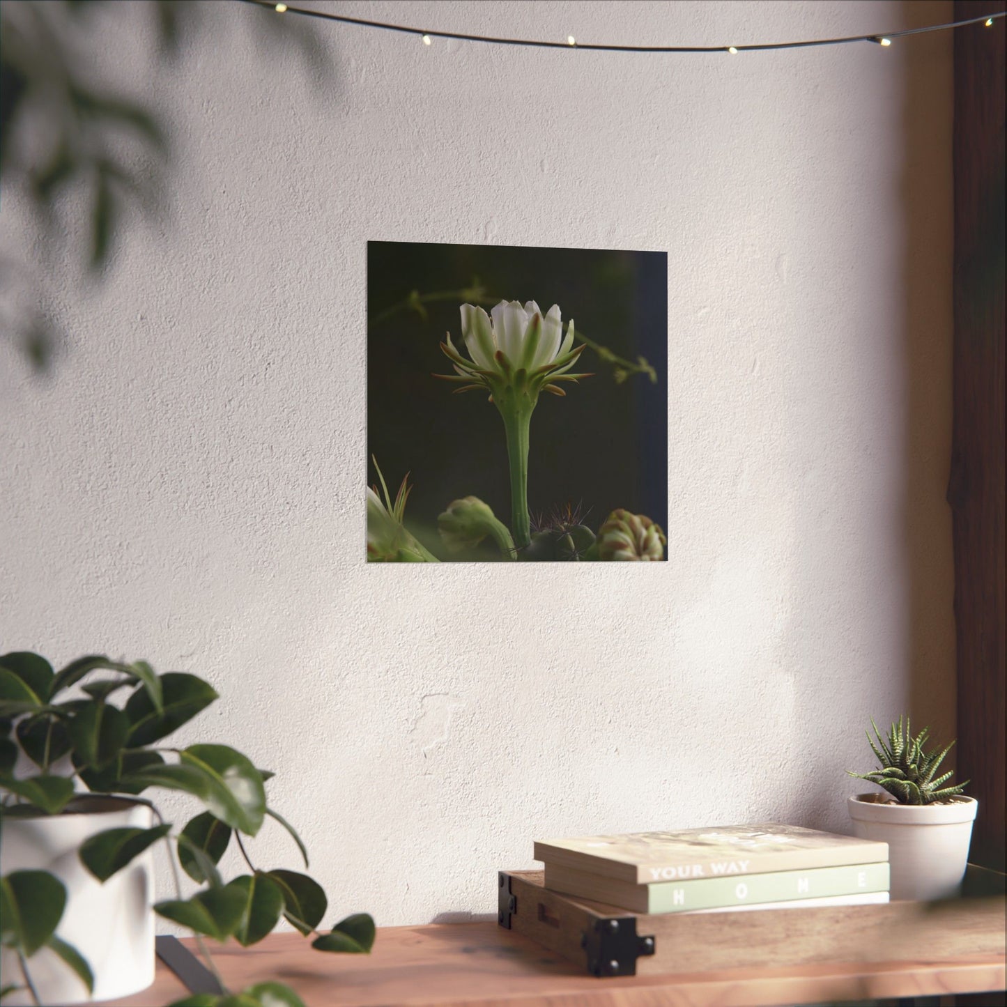 Botanical Cactus Wall Art - Minimalist Matte Poster