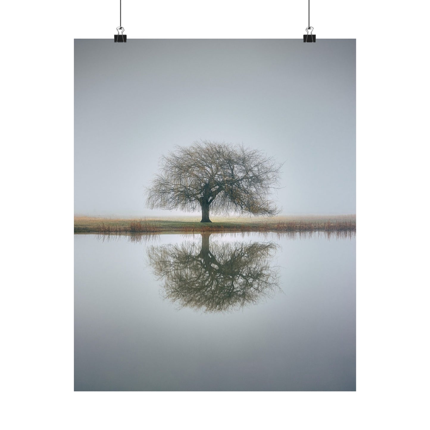 Tree reflected in water with a plain background