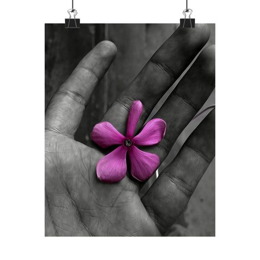 Purple flower held in a hand with a black and white background
