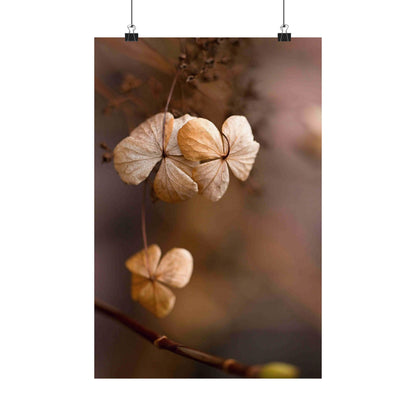 Dried flowers on a blurred background