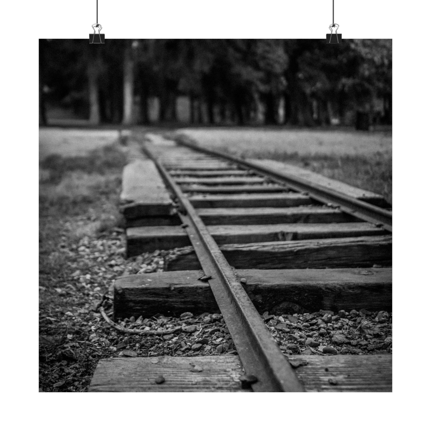 Black and white photograph of an old railway track with trees in the background