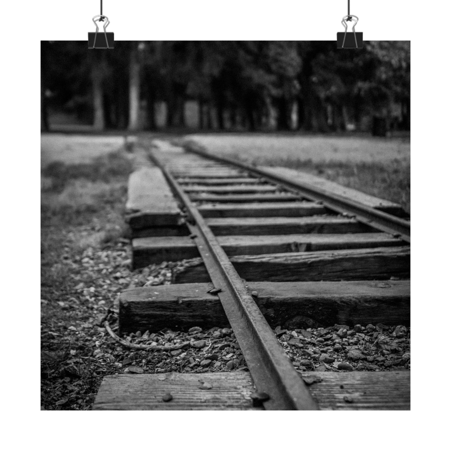 Black and white photograph of an old railway track with trees in the background
