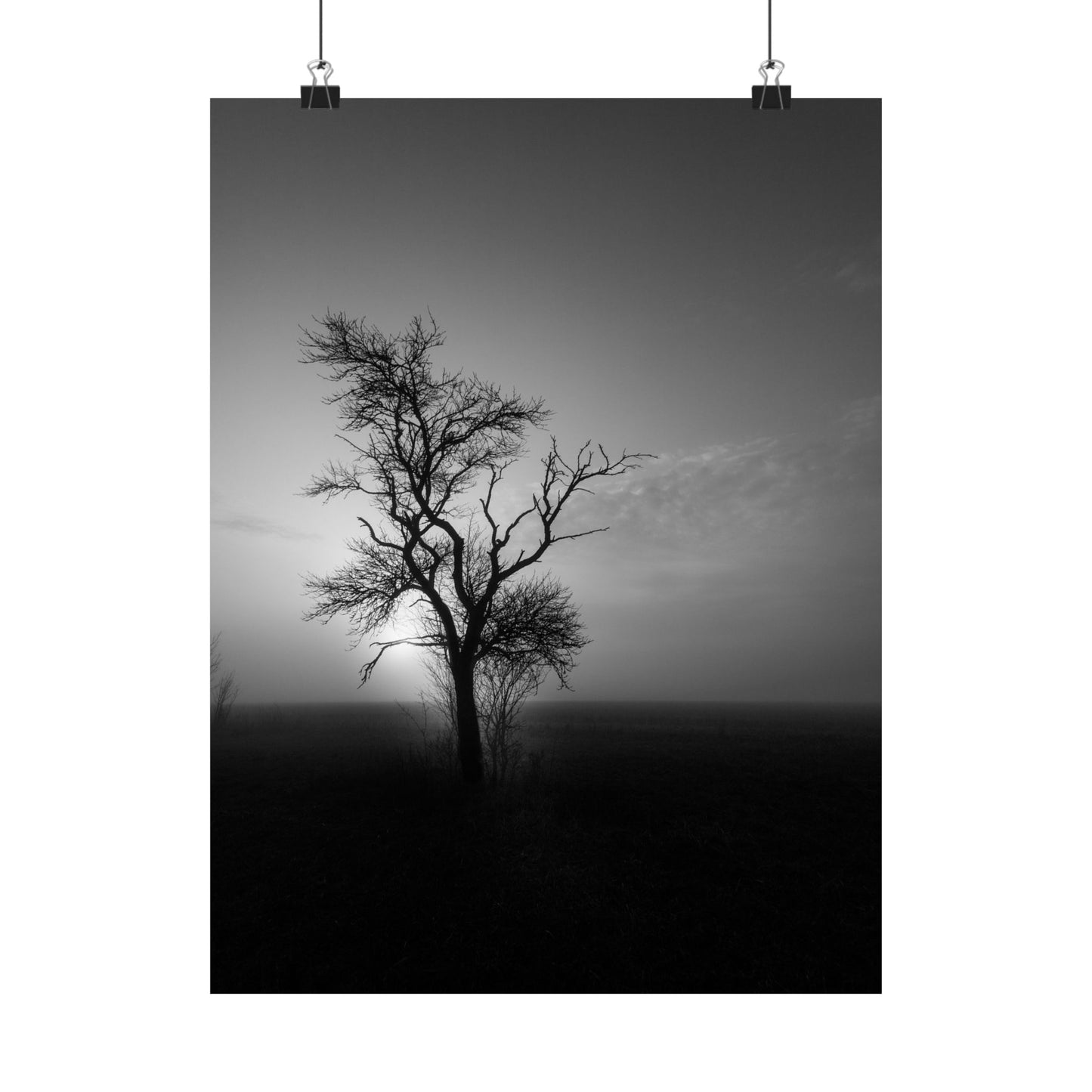 Black and white photo of a lone tree against a dark sky